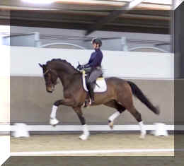 Secret Spice HW trot10.jpeg (258223 bytes)