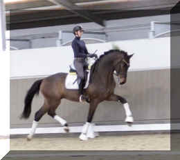 Secret Spice HW trot2.jpeg (204359 bytes)