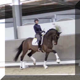 Secret Spice HW trot4.jpeg (157173 bytes)