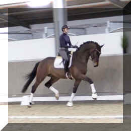 Secret Spice HW trot6.jpeg (213440 bytes)