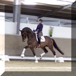 Secret Spice HW trot9.jpeg (236707 bytes)