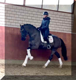 Simply Black HW canter new1.jpeg (325195 bytes)