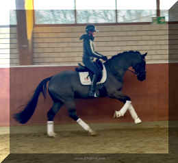 Simply Black HW canter new5.jpeg (535696 bytes)