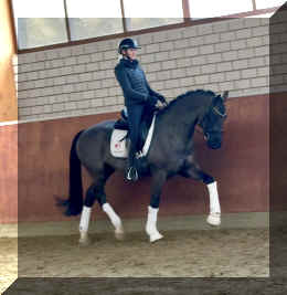 Simply Black HW trot new2.jpeg (379938 bytes)