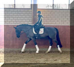 Simply Black HW walk new2.jpeg (672371 bytes)