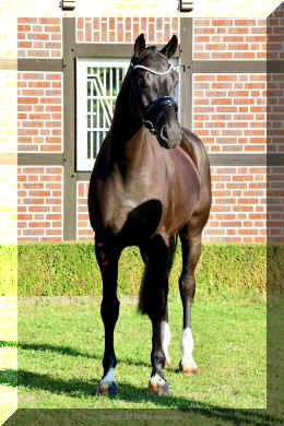 Simply Black HW stand3.jpeg (4108700 bytes)