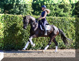 SuperMan HW canter3.jpeg (5684320 bytes)