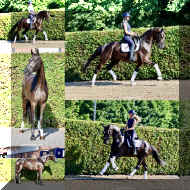 SuperMan HW collage.JPG (737525 bytes)