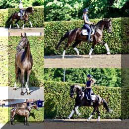 SuperMan HW collage.JPG (737525 bytes)