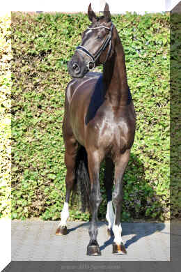 SuperMan HW stand2.jpeg (4018020 bytes)