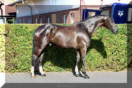 SuperMan HW stand3.jpeg (4523226 bytes)