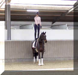Valentin HW tricks.jpeg (308545 bytes)