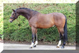 Armani Gold HW stand1.jpeg (6942767 bytes)