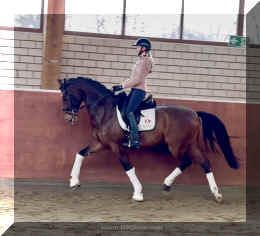 Armani Gold HW trot9.jpeg (252200 bytes)