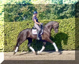 Bon Excellent HW trot5.jpeg (874740 bytes)