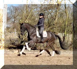 John Jameson HW canter2.jpeg (621171 bytes)