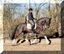 John Jameson HW trot3.jpeg (1062175 bytes)