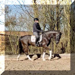 John Jameson HW walk2.jpeg (420389 bytes)