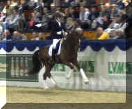 Bond canter1.jpg (304738 bytes)