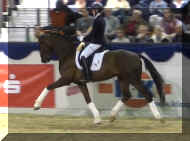 Bond trot2.jpg (312323 bytes)
