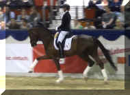 Bond trot3.jpg (312618 bytes)