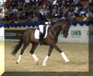 Bond trot5.jpg (336760 bytes)