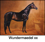 Wundermaedel xx