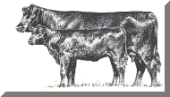 cow_calf_profile.gif (36904 bytes)