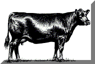 cow_right_face.gif (23479 bytes)