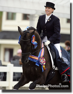 Elizabeth Ball and Selten HW took the win in Saturday's Five-Year-Old Championship Test during the USEF/Markel National Young Horse Championships being held at Lamplight Equestrian Center. 