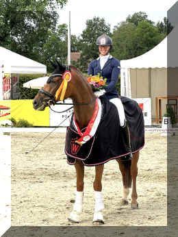 Champion picture.jpg (888099 bytes)